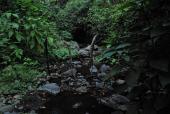 creek north of Colima, 2019