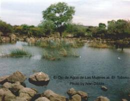 The spring at El Toboso in the middle of the 1990's